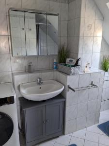 a bathroom with a sink and a mirror at Ferienwohnung Alafia in Veitsbronn