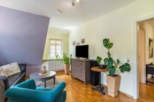a living room with a couch and a tv at Ferienwohnung Saline in Bad Wildbad