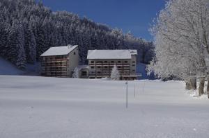 a building in the snow with snow covered trees at Studio Appartement Grand Serre in La Morte