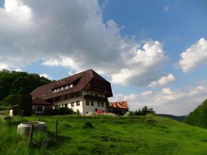 a house on top of a grassy hill at Heizmannshof in Hofstetten
