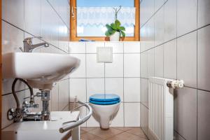 a small bathroom with a toilet and a sink at Paulas Ferienwohnung Koenigscard in Füssen +12 photos