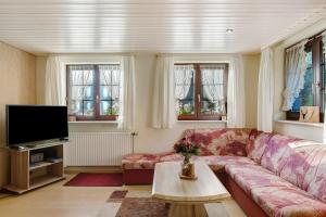 a living room with a couch and a tv at Haus Steinhäusle - 2 fewos in Vöhrenbach