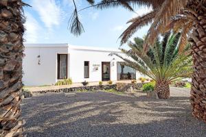 a white house with a palm tree in front of it at Guenia I in Teguise