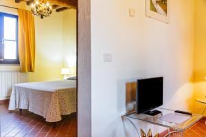 a bedroom with a bed and a television on a table at Il Cancellone - Grillo in Montiano