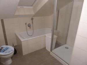 a bathroom with a shower and a toilet at Haus Bergblick 1 in Utzmemmingen
