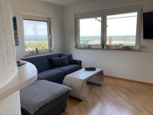 a living room with a couch and a table and two windows at Dmon-Home in Tettnang