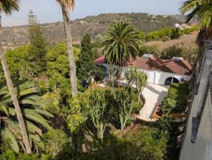 an aerial view of a house with palm trees at Bastion del Drago in Arucas