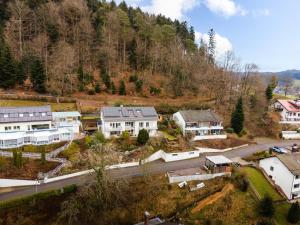 an aerial view of a village with houses and a road at Sonnenterrasse 9 in Fischerbach