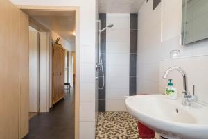 a bathroom with a sink and a shower at Ferienhof Weber Ferienwohnung Buche in Neukirch +20 photos
