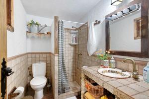 a bathroom with a toilet and a sink at Finca Las Carmenes in Icod de los Vinos