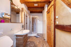 a bathroom with a sink and a shower at Ferienwohnungen Bunge in Krostitz +96 photos