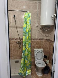 a shower curtain in a bathroom with a toilet at Эдем ИссыкКуль in Bosteri +64 photos