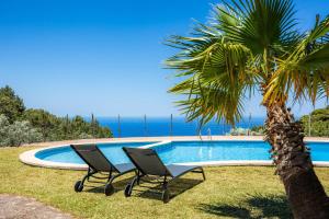 two chairs and a palm tree next to a swimming pool at Tramuntana in Valldemossa
