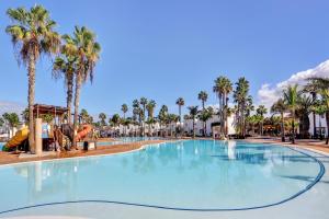 a large swimming pool with palm trees in a resort at Oasis Duna _ Casa Martineli Pool in Corralejo