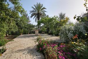 a garden with flowers and a stone pathway at Butxaco in Pollença