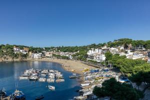 a group of boats are docked at a beach at 1a Linea mar port Llafranch in Llafranc