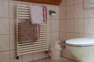 a small bathroom with a toilet in a room at Wohnung im Gästehaus Waldhüsle in Friedenweiler +16 photos