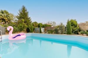 a swimming pool with a pink flamingo in the water at Demeure en pierre avec piscine in Vertheuil-en-Médoc