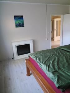 a bedroom with a bed and a fireplace at Haus im Grünen in Calau