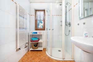 a bathroom with a shower and a sink at Ferienwohnung Eichenhof in Blankensee +24 photos