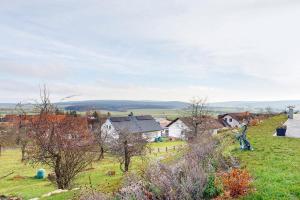 a group of houses on a hill with green grass at Am Rothen Hang in Oberelsbach