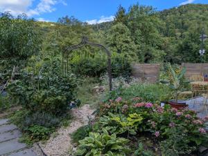 a garden with a bunch of plants and flowers at Ferienwohnung Lichtenstein in Lichtenstein