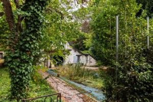 a house in the middle of a yard with trees at La Closerie du Cassereau in Vernou-sur-Brenne