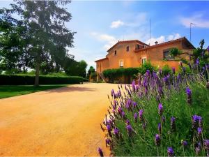 a house with purple flowers in front of a dirt road at Mas Pareta - La Parra 1 in Fonolleras