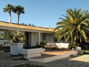 a house with two palm trees and a patio at Quinta Quinze in Boliqueime