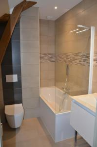 a bathroom with a shower and a toilet and a sink at Chambres D'hôtes Le Fer À Cheval in Montreuil-sur-Maine