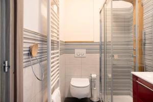 a small bathroom with a toilet and a shower at Alta Valle Maira C in Acceglio +16 photos