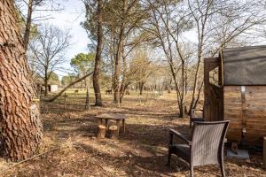 a chair and a table next to a tree at Les Chouchous du Garthieu in Hourtin