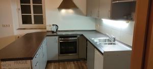 a kitchen with a sink and a counter top at Käfer A in Waldbrunn