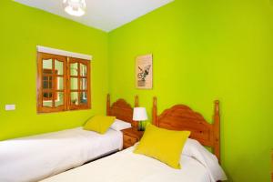 a green bedroom with two beds and a window at Finca Tropical in Ingenio +24 photos