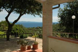 a porch with potted plants and a view of the ocean at Appartamenti Le Querce App. Ginestra in Capoliveri