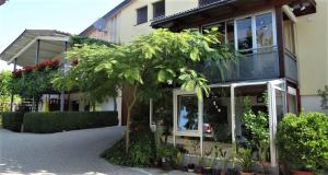 a house with a palm tree in front of it at Zum Rebberg Ferienwohnungen in Freiburg im Breisgau +38 photos