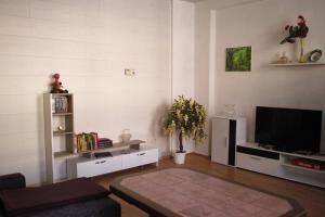a living room with a flat screen tv and a couch at Ferienwohnung Rose in Schöneck