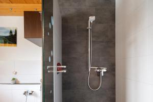 a shower with a shower head in a bathroom at Sonnerhof Hofsgrund in Oberried +26 photos