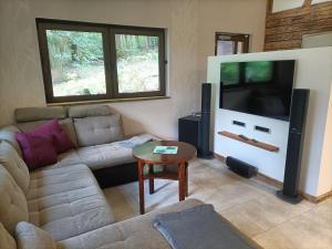 a living room with a couch and a flat screen tv at Waldhaus Hempe in Tabarz