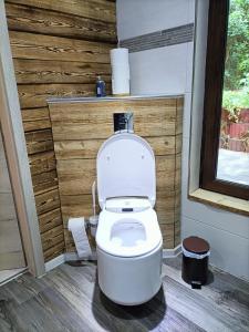 a white toilet in a bathroom with a wooden wall at Waldhaus Hempe in Tabarz +23 photos