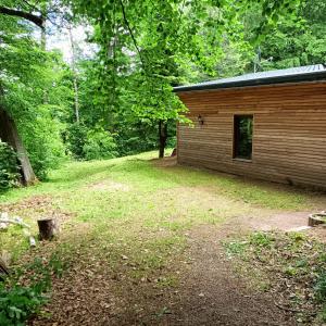 a log cabin in the woods with a yard at Waldhaus Hempe in Tabarz