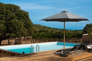 an umbrella and chairs next to a swimming pool at Les Chalets De Tesa in Occhiatana