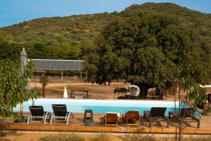 a pool with chairs and a tree and a mountain at Les Chalets De Tesa in Occhiatana