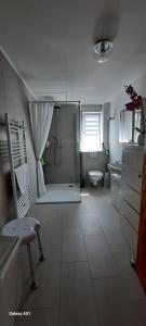 a bathroom with a shower and a toilet and a sink at Ferienwohnung an der Lahn in Limburg an der Lahn +30 photos