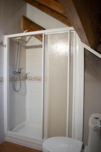 a bathroom with a shower and a toilet at Kabila Enea 1 in Uztárroz