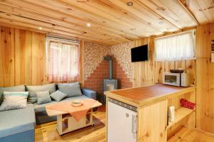 a living room with a couch and a table at Bungalow 19 - Finnhütte in Niesky