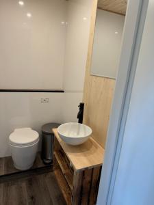 a bathroom with a sink and a toilet at Hausboot Kitilou in Flessenow
