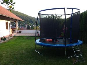 a child is playing on a trampoline in a yard at Mayntz' Albjuwel in Meßstetten