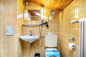 a bathroom with a sink and a toilet at Schaumann’s Hüs in Immenstadt im Allgäu +17 photos