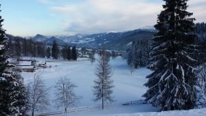 Bergschlößl durante l'inverno